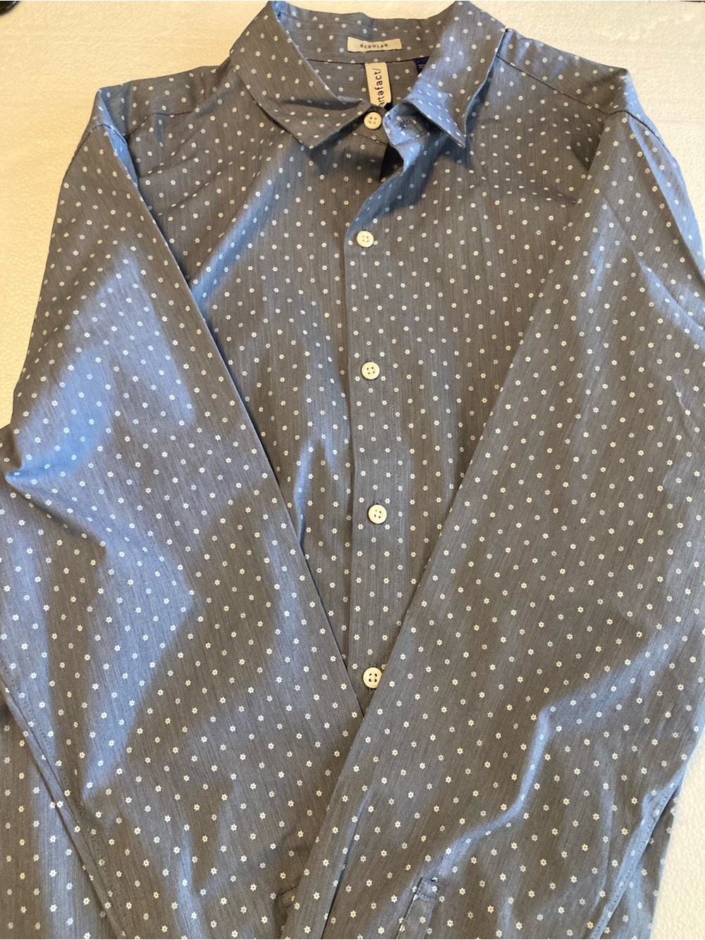 Everlane Blue Dot Cotton Button-Down Shirt